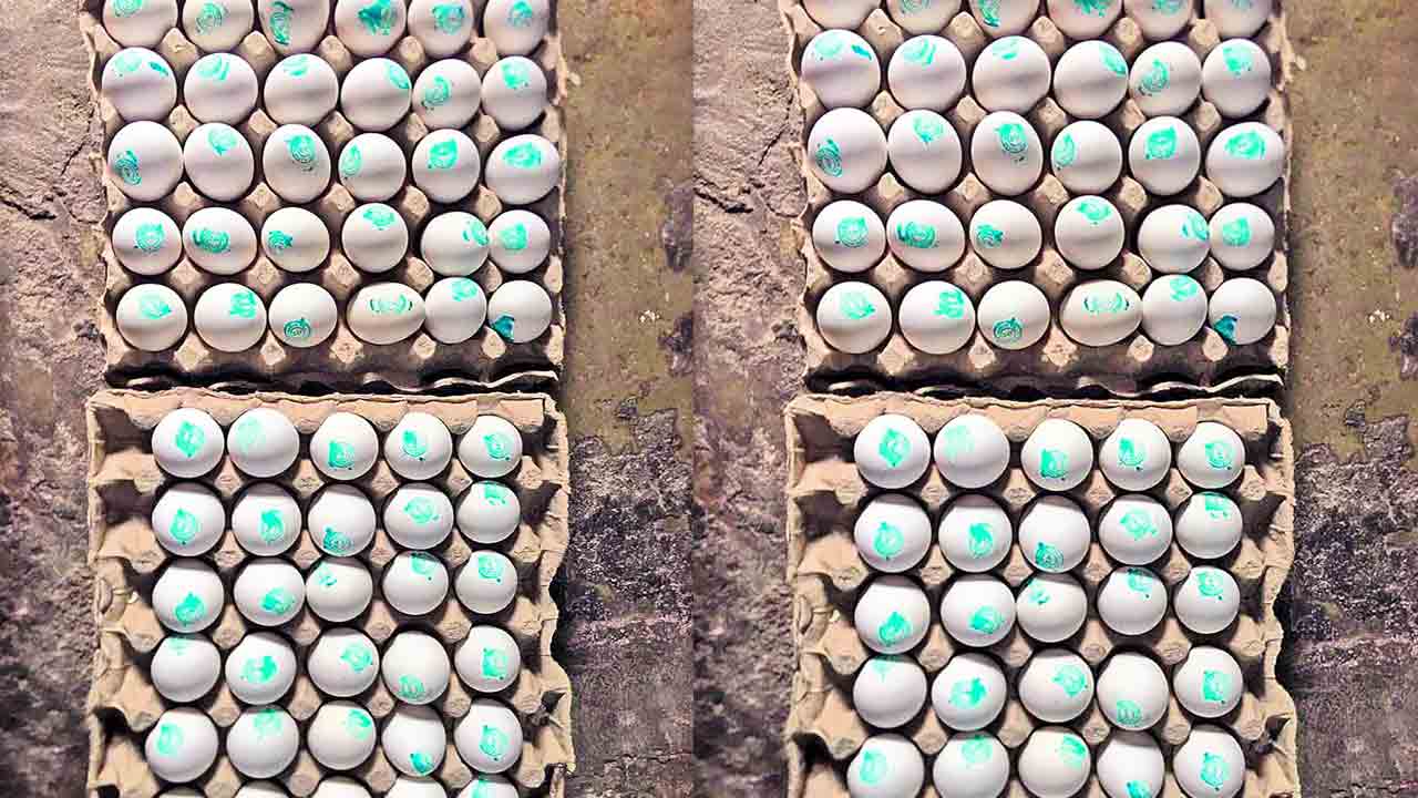 అక్రమాలకు చెక్‌