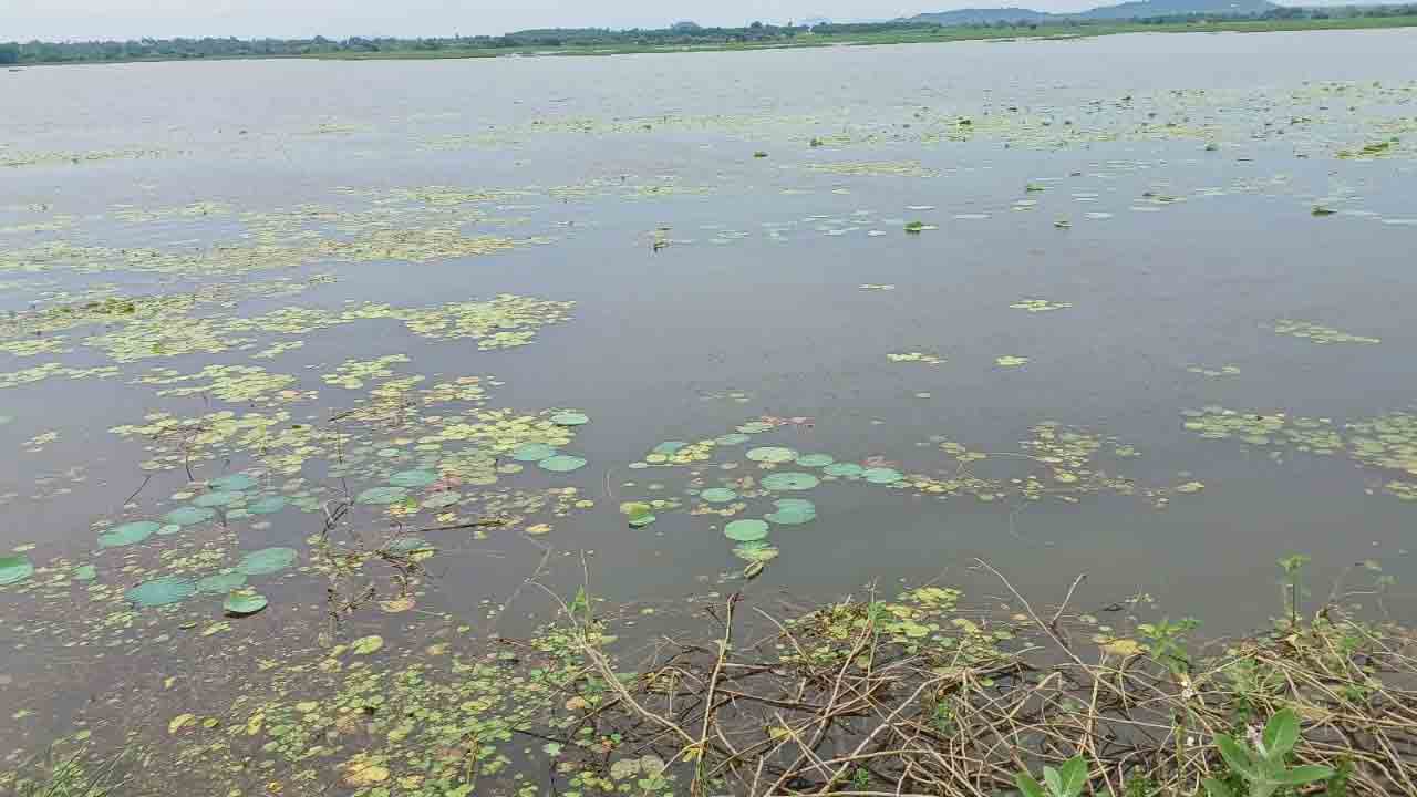 చెరువుకు మహర్దశ