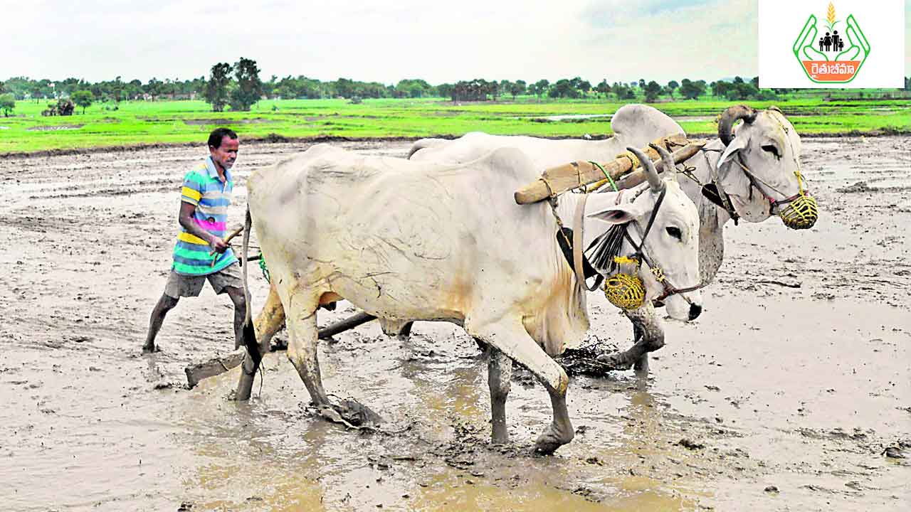 ‘రైతుబీమా’తో ధీమా