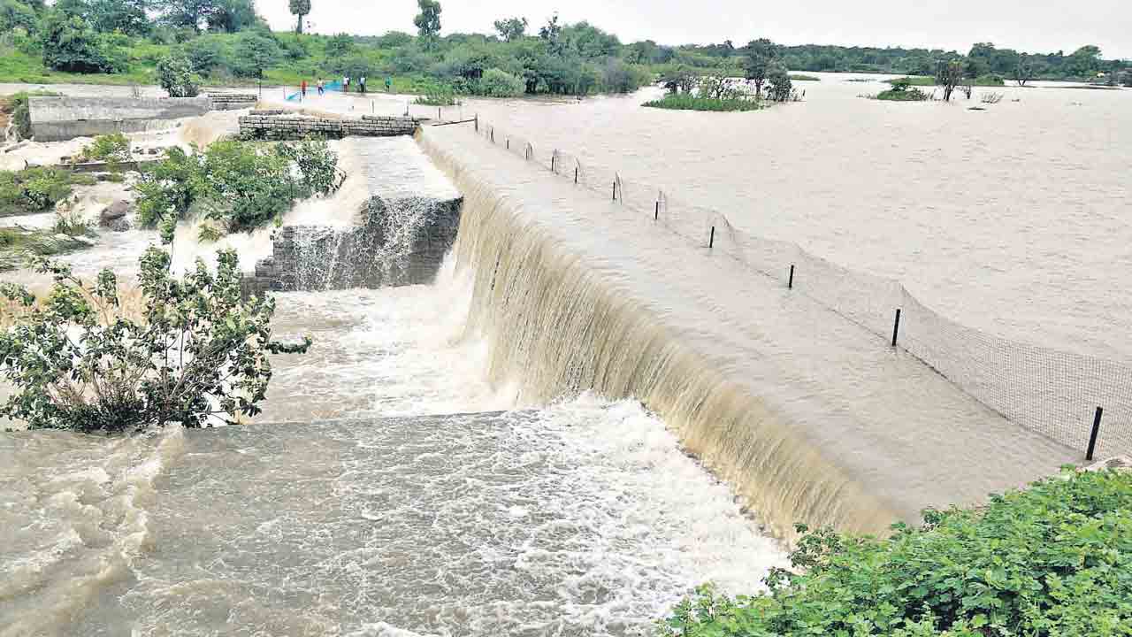 చెరువులు నిండుగా..ఎవుసం పండుగ