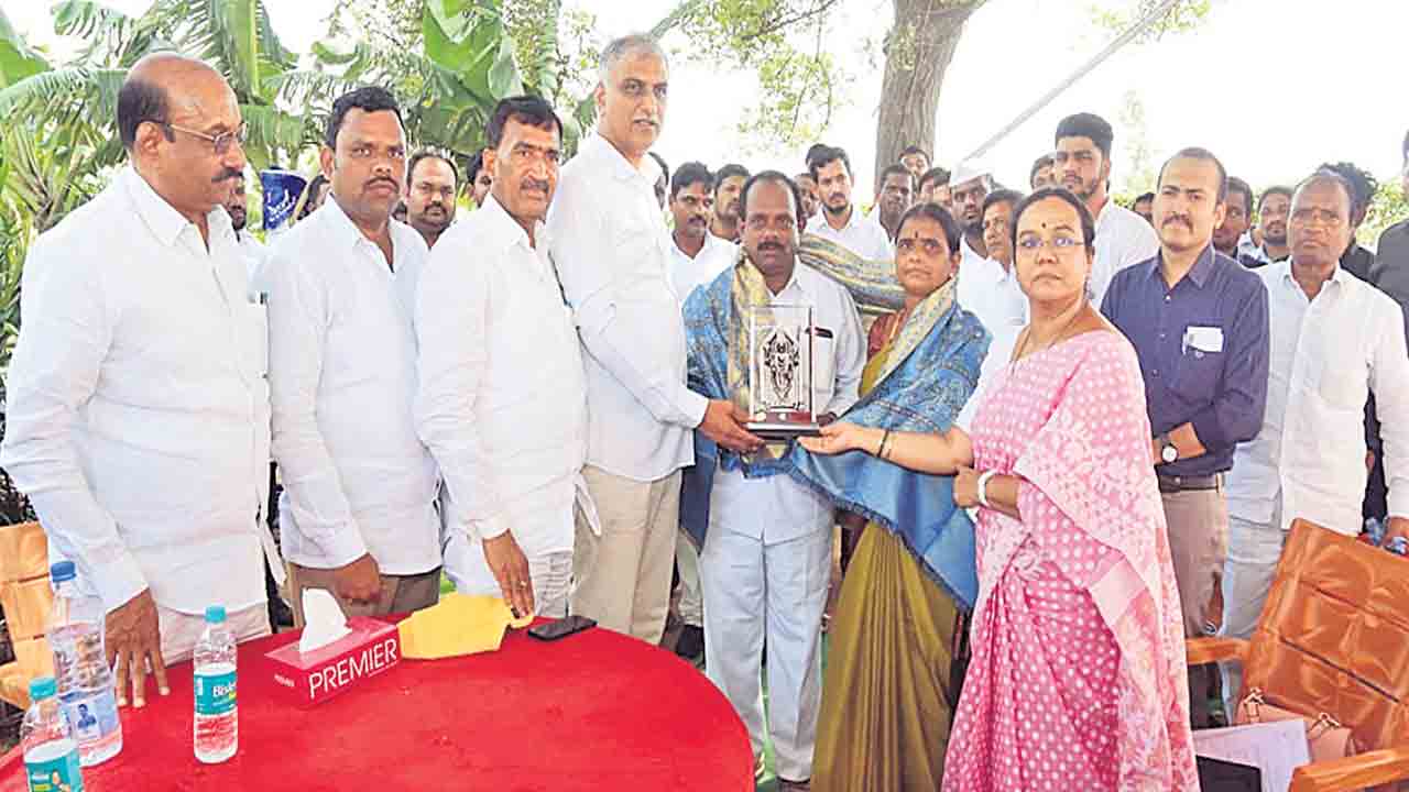 ఆయిల్పామ్ సాగుతో అధిక ఆదాయం
