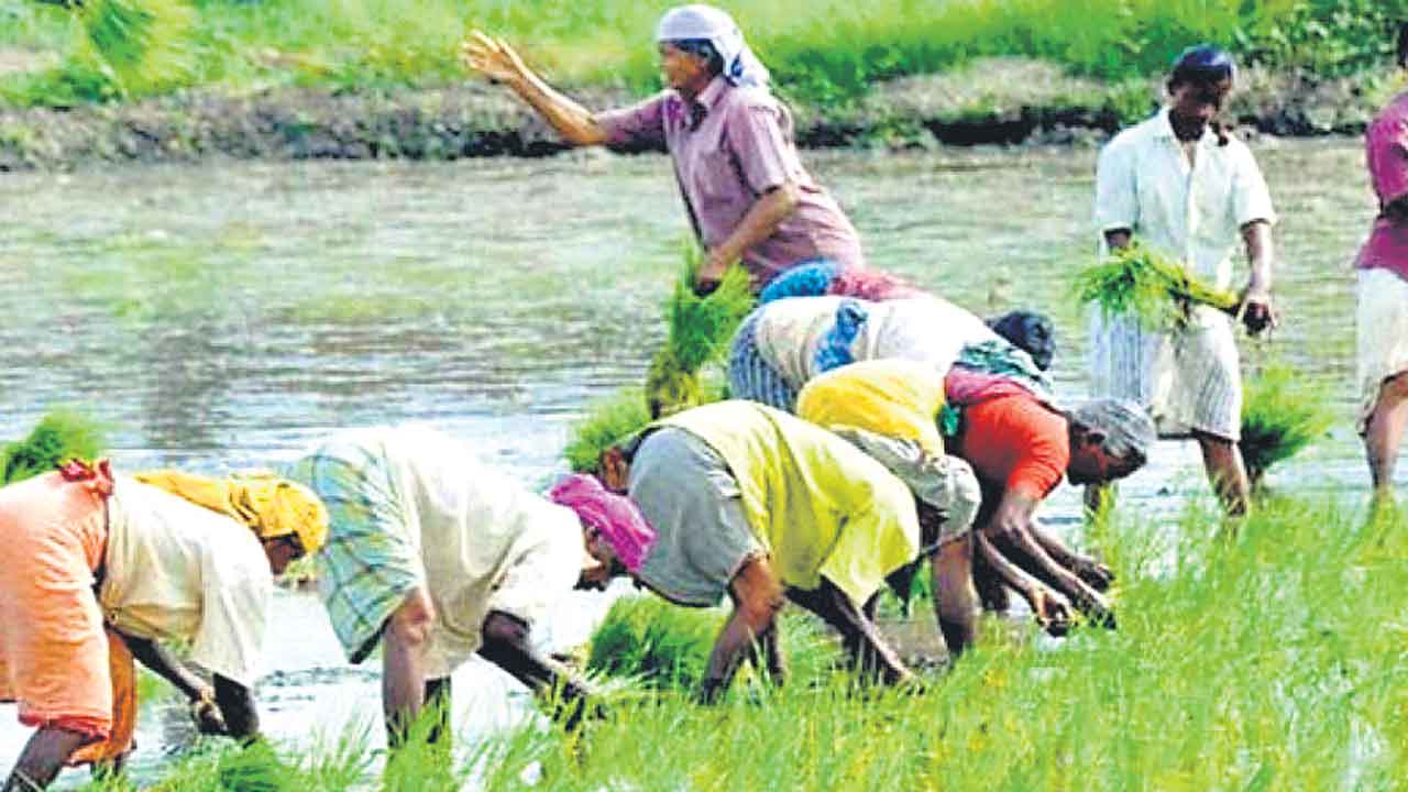 తెలంగాణ అన్నపూర్ణ