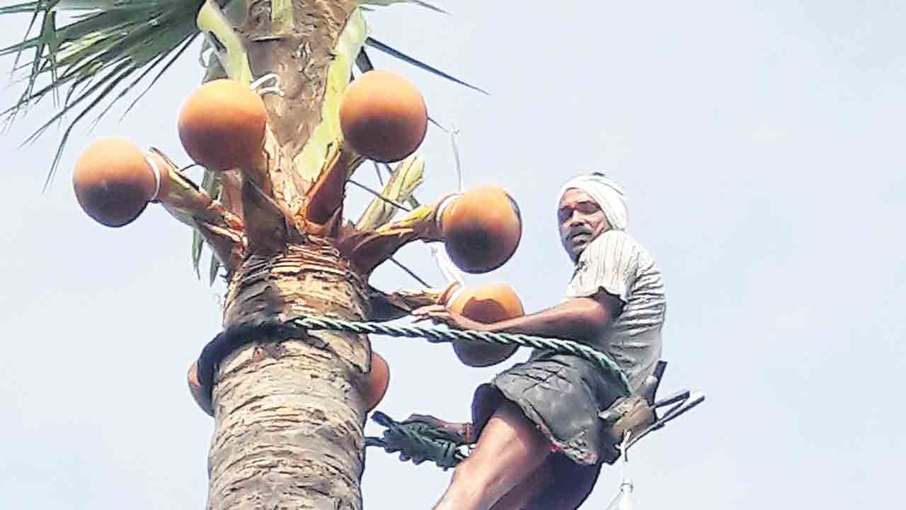 గీత కార్మికులకు బీమా