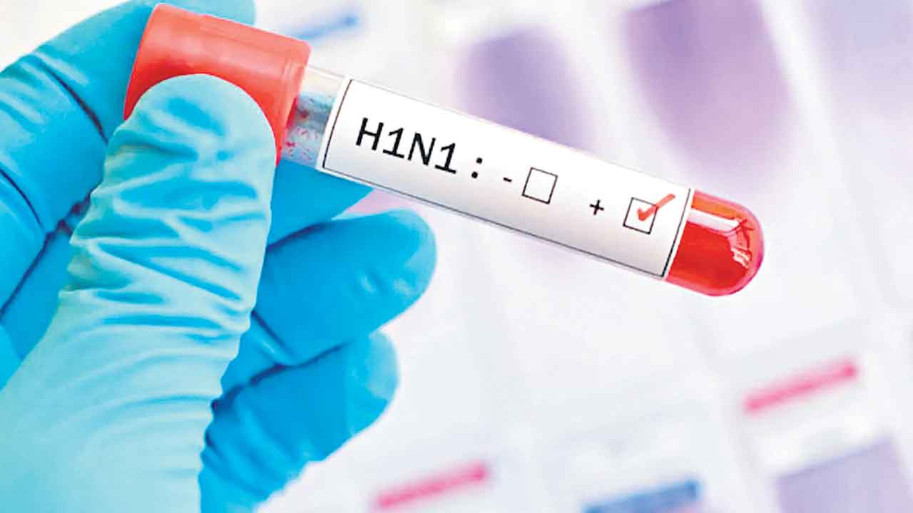 కేరళలో ఆఫ్రికన్‌ స్వైన్‌ ఫ్లూ కేసు