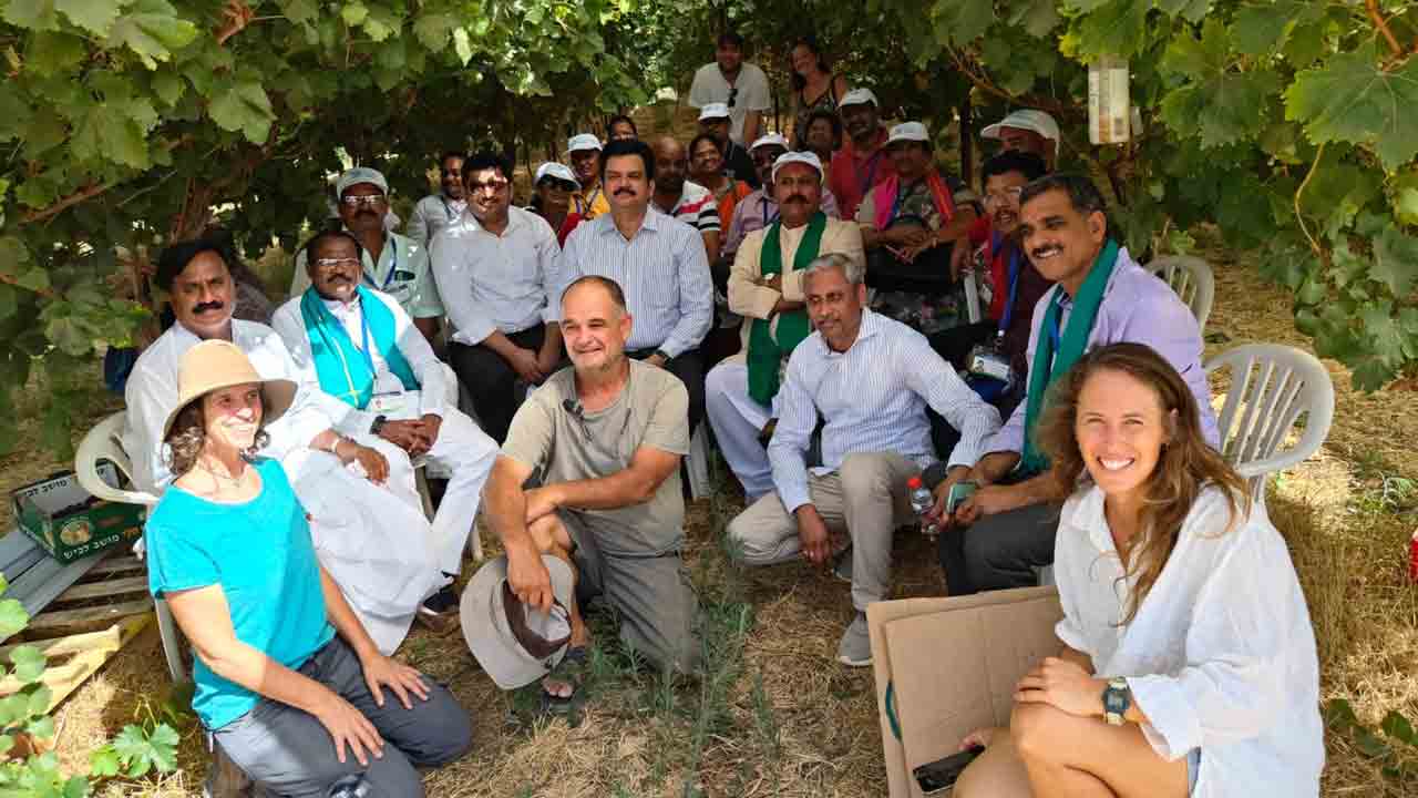 సాంకేతిక సాగు