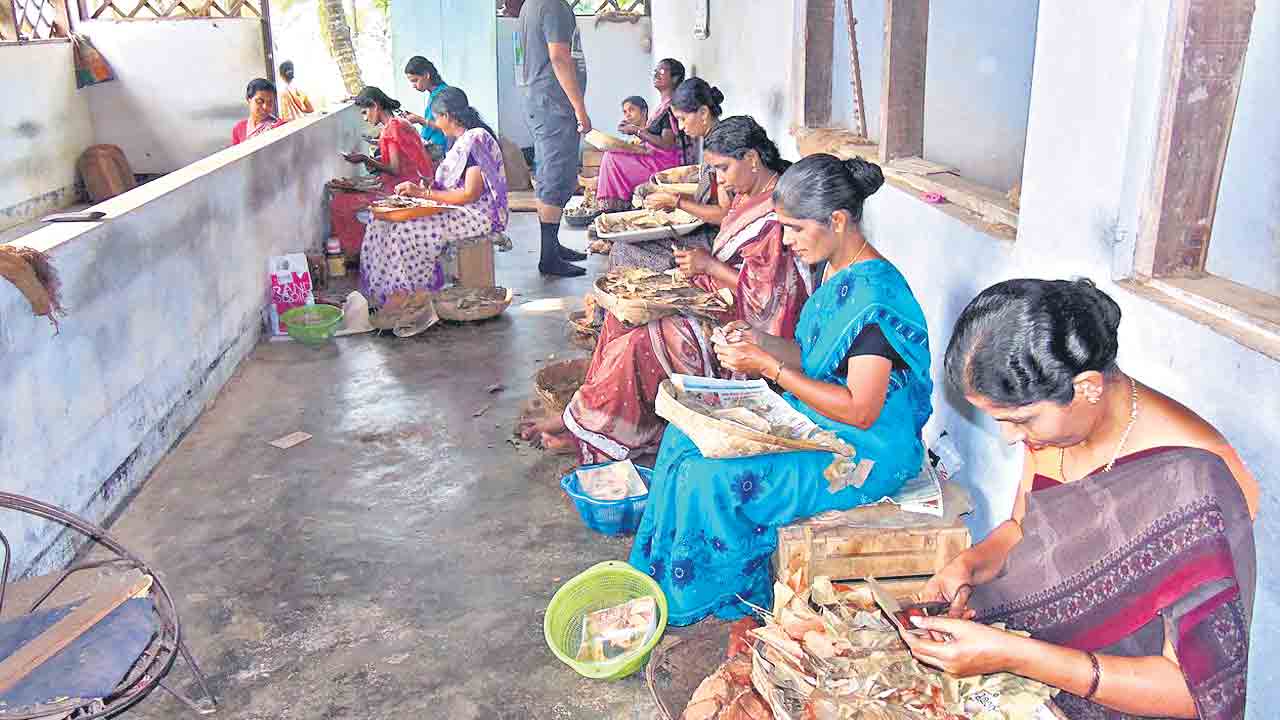 బీడీ పరిశ్రమకు కొత్త జీవం