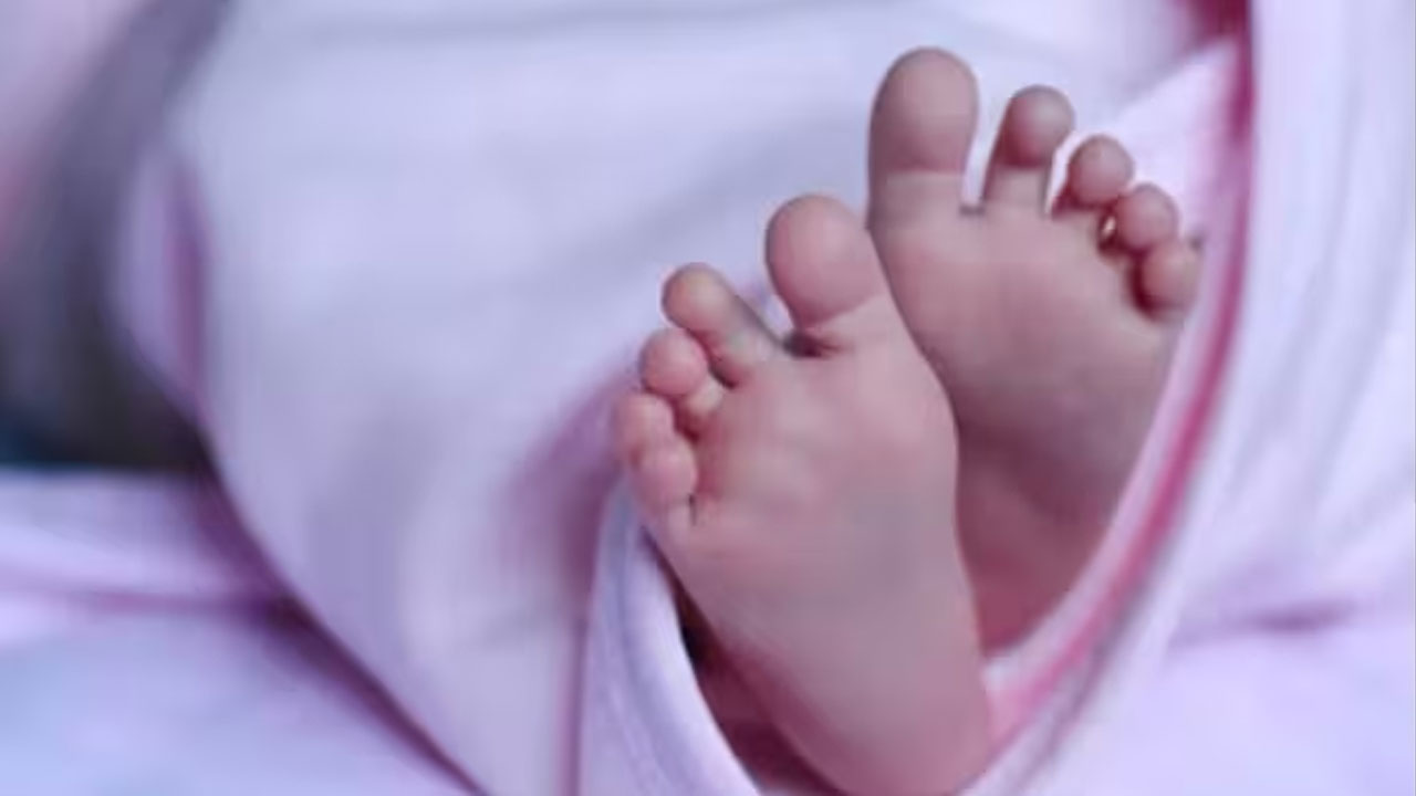 Bird flu | జార్ఖండ్‌లో 9 నెలల చిన్నారికి బర్డ్‌ ఫ్లూ..