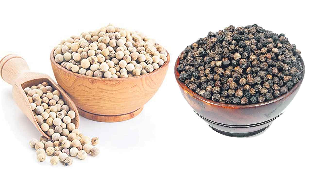 White Pepper |  తెల్ల మిరియాలతో ఆరోగ్య ప్రయోజనాలు ఎన్నో..