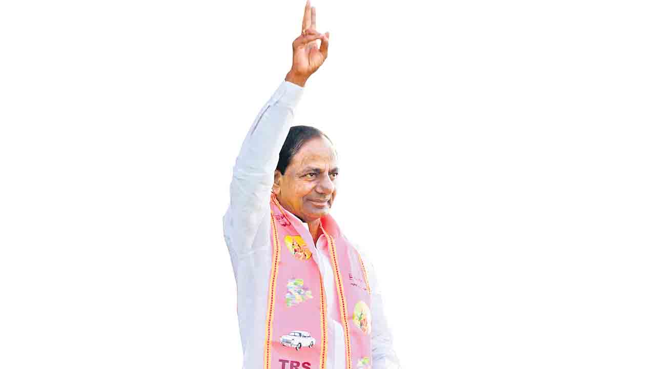 మిన్నంటిన సంబురాలు