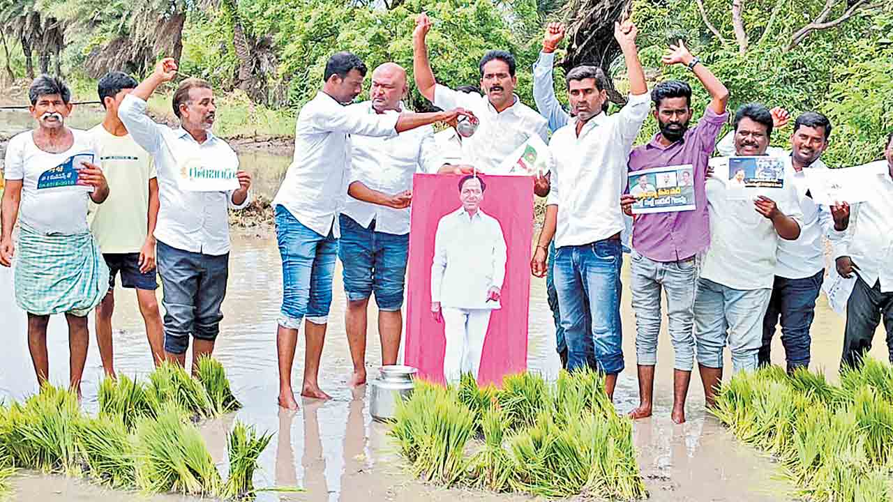 Cm Kcr Flexi