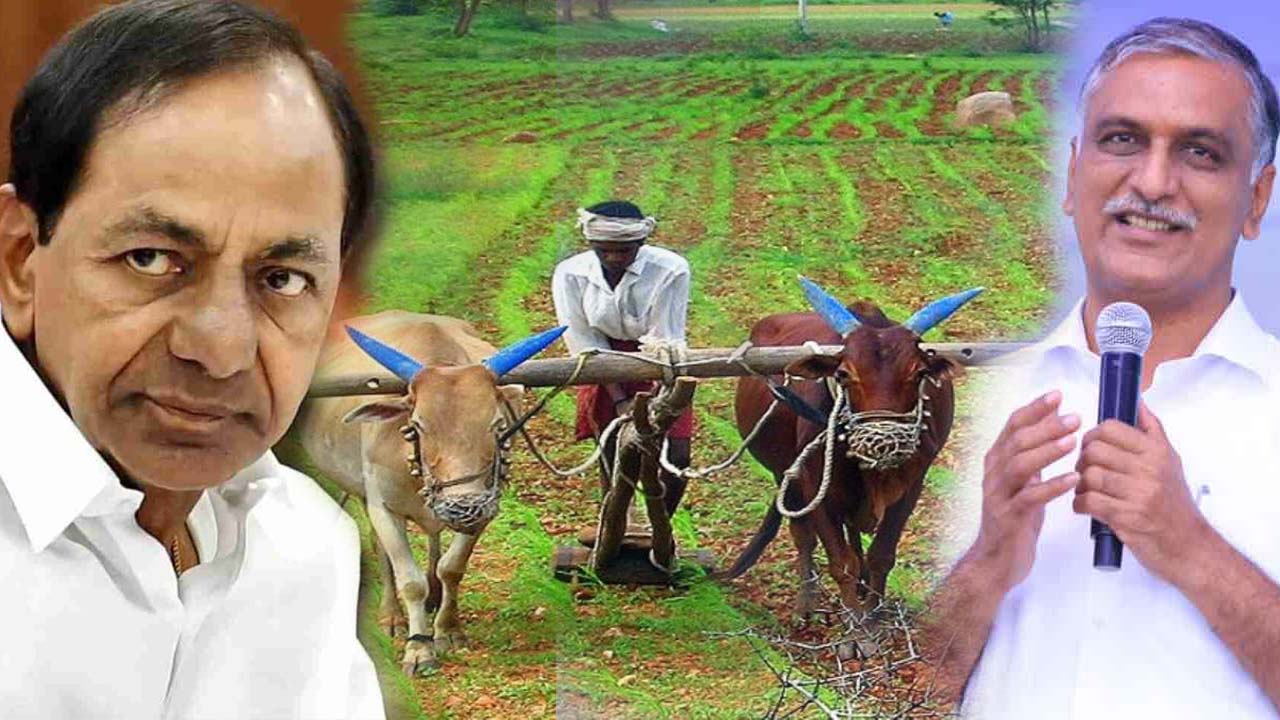 Minister Harish Rao | రుణమాఫీ హామీ నిలబెట్టుకున్న సీఎం కేసీఆర్‌కు కృతజ్ఞతలు.. మంత్రి హరీశ్‌రావు ట్వీట్‌