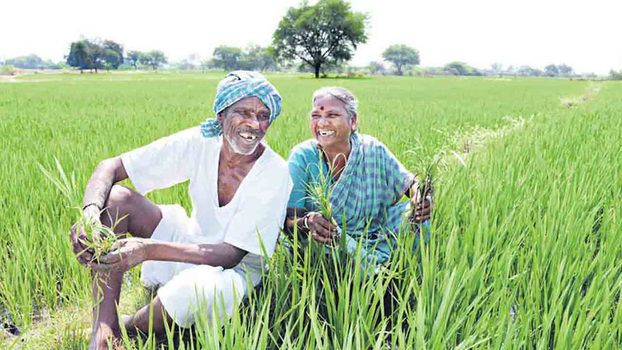 మరో ఏడాదికి రైతు బీమా