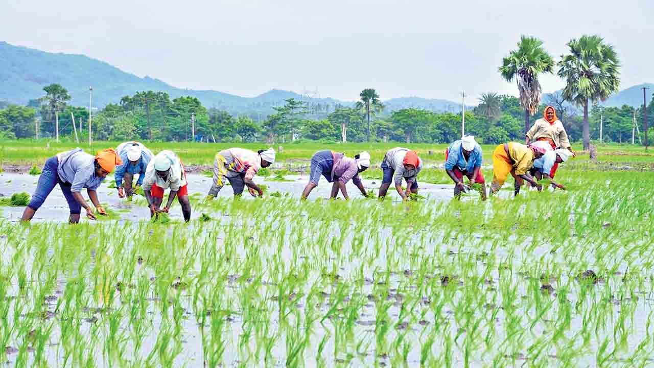 తెలంగాణ ఎవుసం.. కేసీఆర్‌ సంతకం