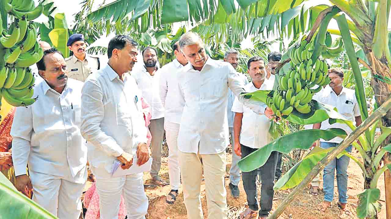 కాళేశ్వరంపై బీజేపీ పచ్చి అబద్ధాలు