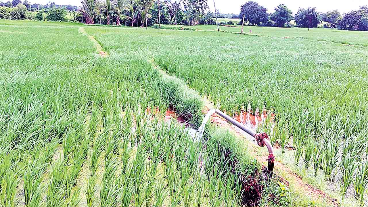 3,14,814 మందికి రూ.319.18కోట్లు