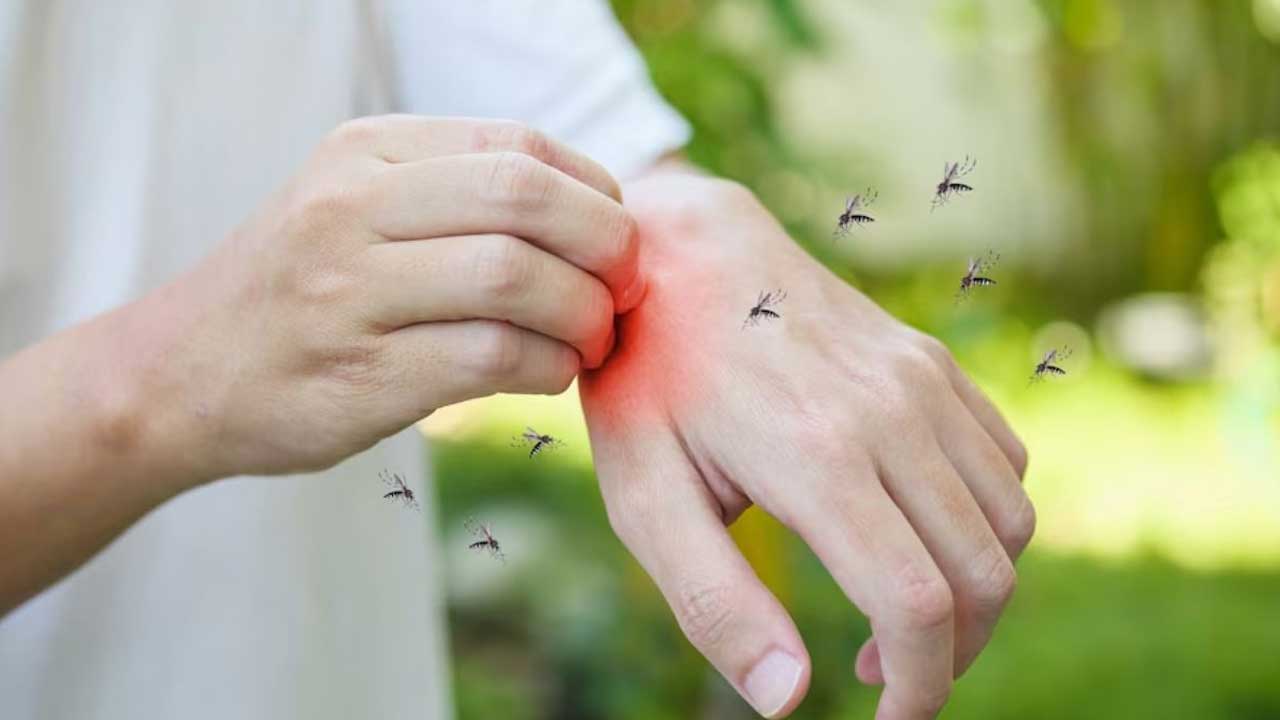 Dengue in Delhi | ఢిల్లీలో వేగంగా విస్తరిస్తున్న డెంగీ.. వారం రోజుల్లో 105 కొత్త కేసులు