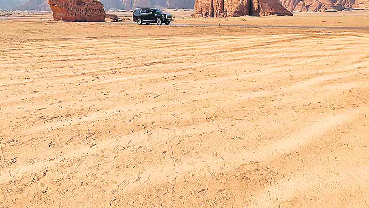 Thar Desert | ప్రపంచంలోని ఎడారులు అన్నీ వేడేక్కుతుంటే.. థార్‌ ఎడారిలో మాత్రం పరుచుకుంటున్న పచ్చదనం.. ఎలా సాధ్యమైంది?