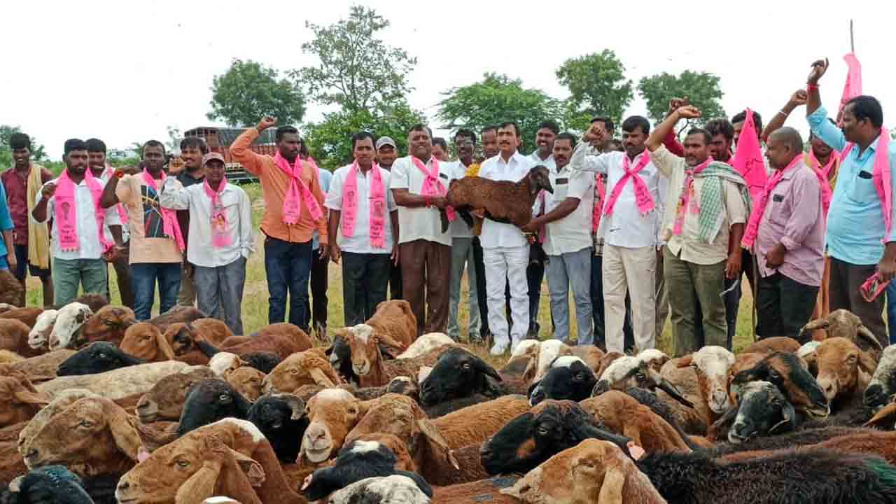 FDC Chariman | గొర్రెల పంపిణీతో గొల్లకుర్మలకు జీవనోపాధి : ఎఫ్‌డీసీ చైర్మన్‌ వంటేరు ప్రతాప్‌రెడ్డి