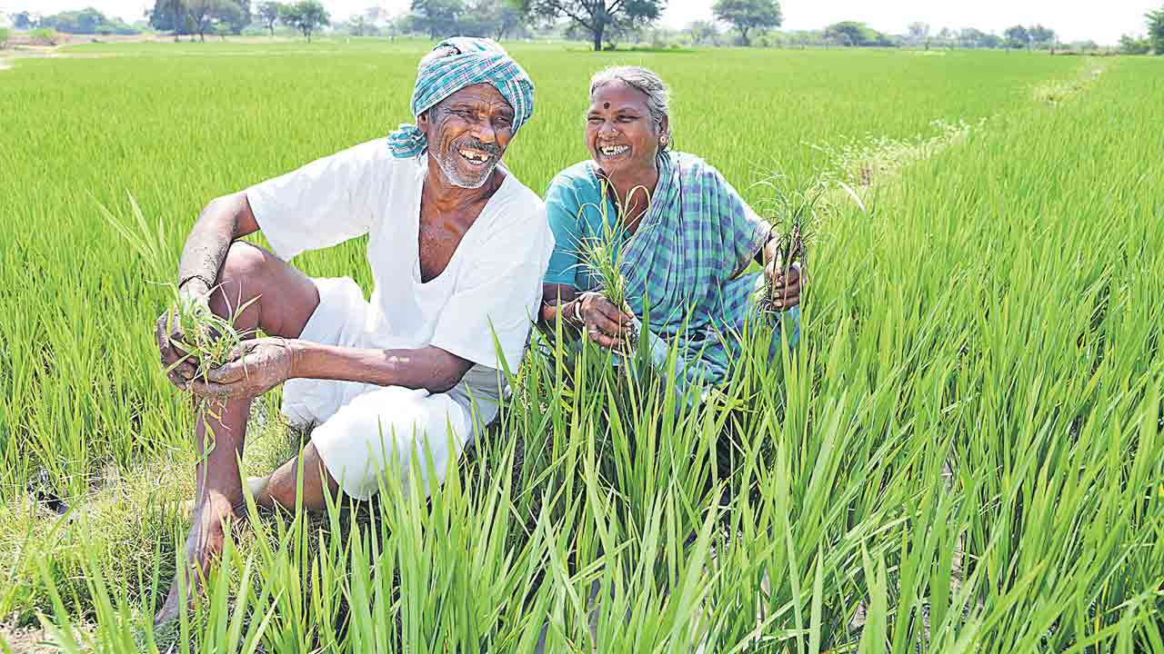 Farmers