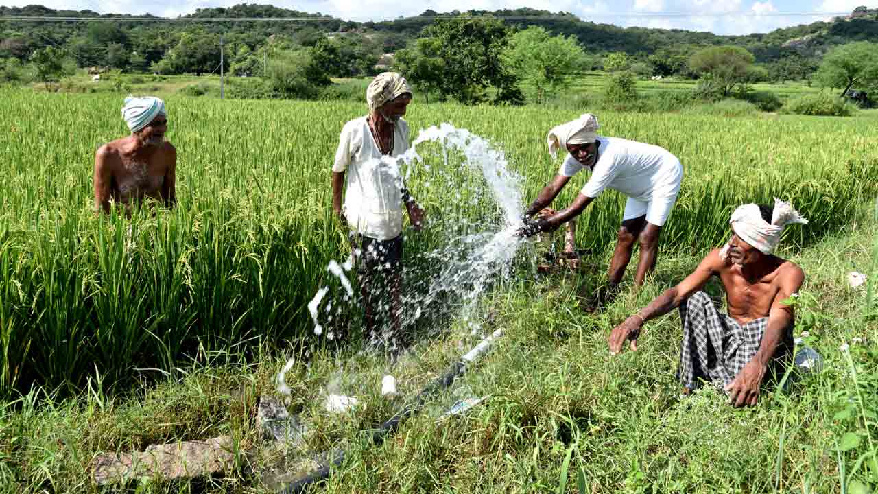 25 లక్షల ఎకరాల్లో వరి సాగు