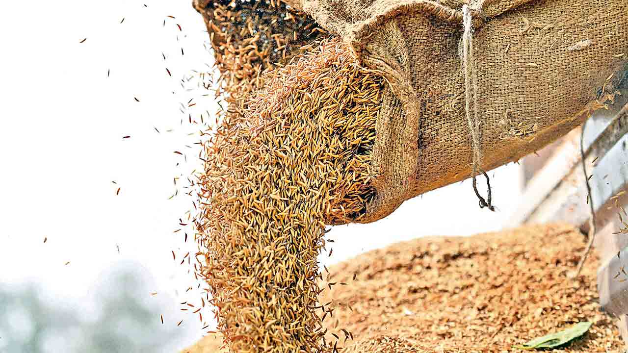 FCI |  కేంద్ర కొర్రీలు, ఎఫ్సీఐ సతాయింపులతో మిల్లుల్లోని మిగులు ధాన్యం బహిరంగ వేలం