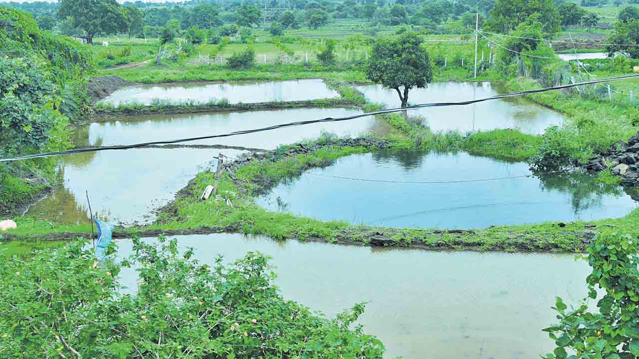 జల సిరులు