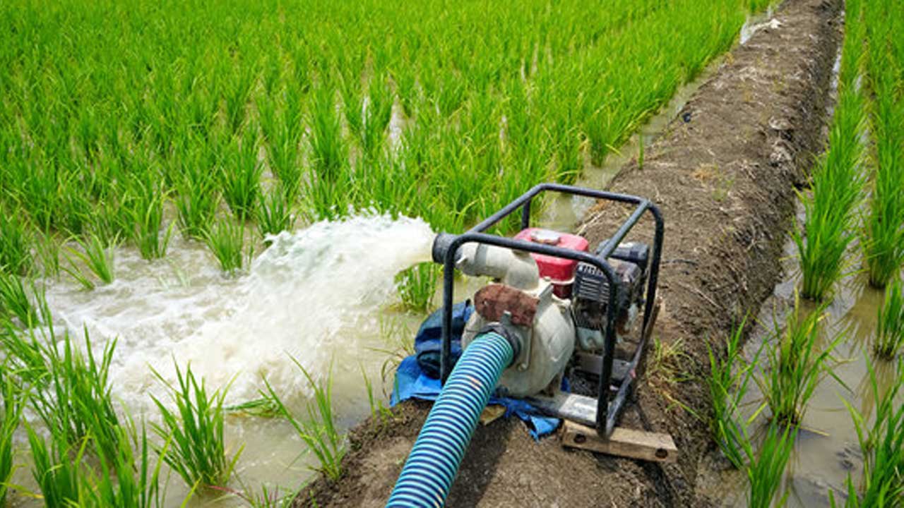 Irrigation water | మోదీ సర్కారు నుంచి రైతులకు మరో ముప్పు.. సాగు నీటిపై పన్ను విధించే యోచనలో కేంద్రం