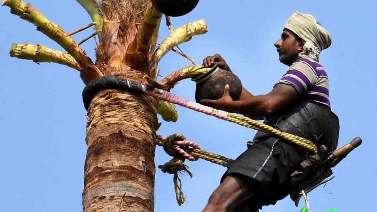 గౌడన్నకు బీమా