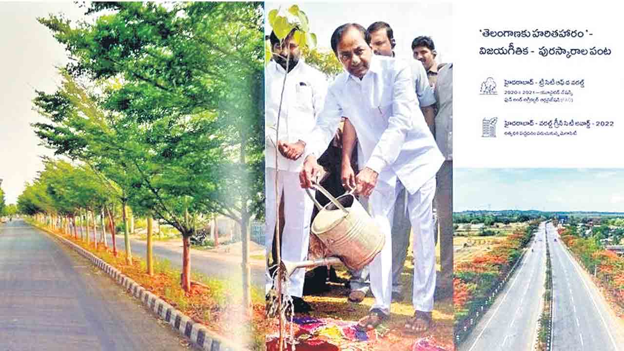 దశాబ్ది ప్రగతి నివేదిక