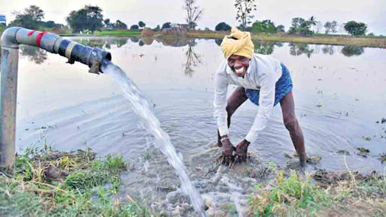 వ్యవసాయం పండుగైంది