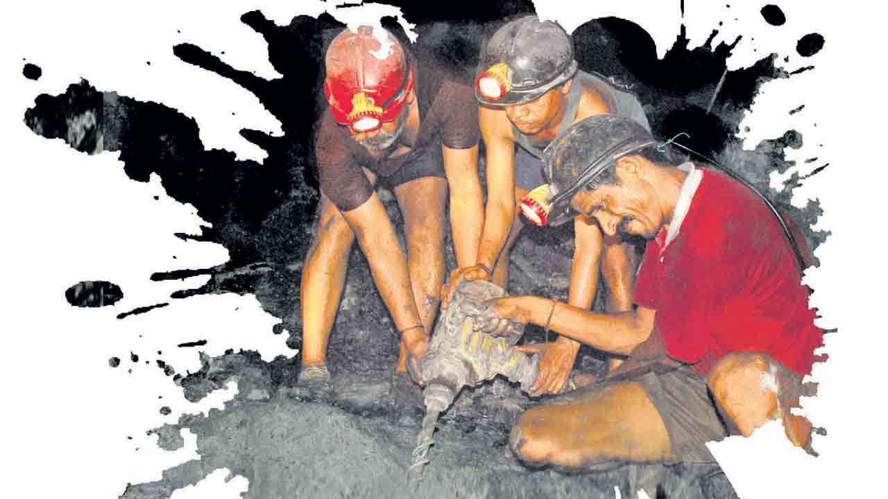 నల్లసూర్యులకు భారీ బొనాంజా