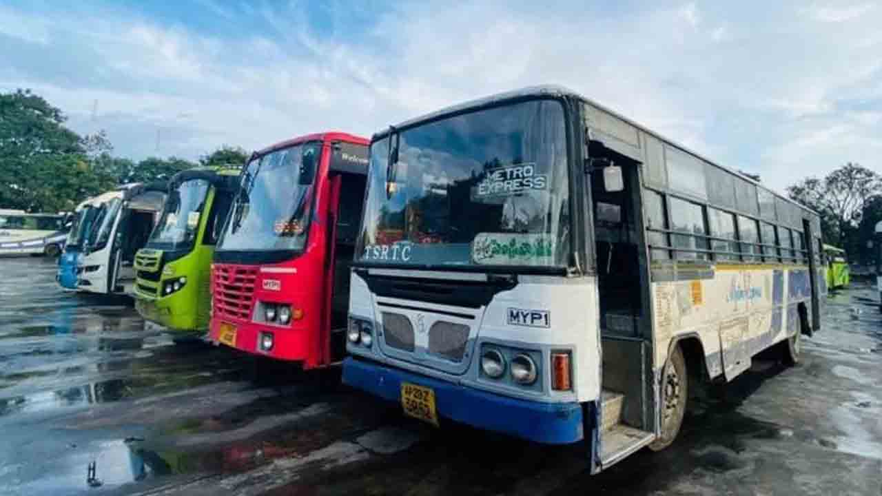 పర్యాటక ప్రాంతాలకు ప్రత్యేక బస్సులు