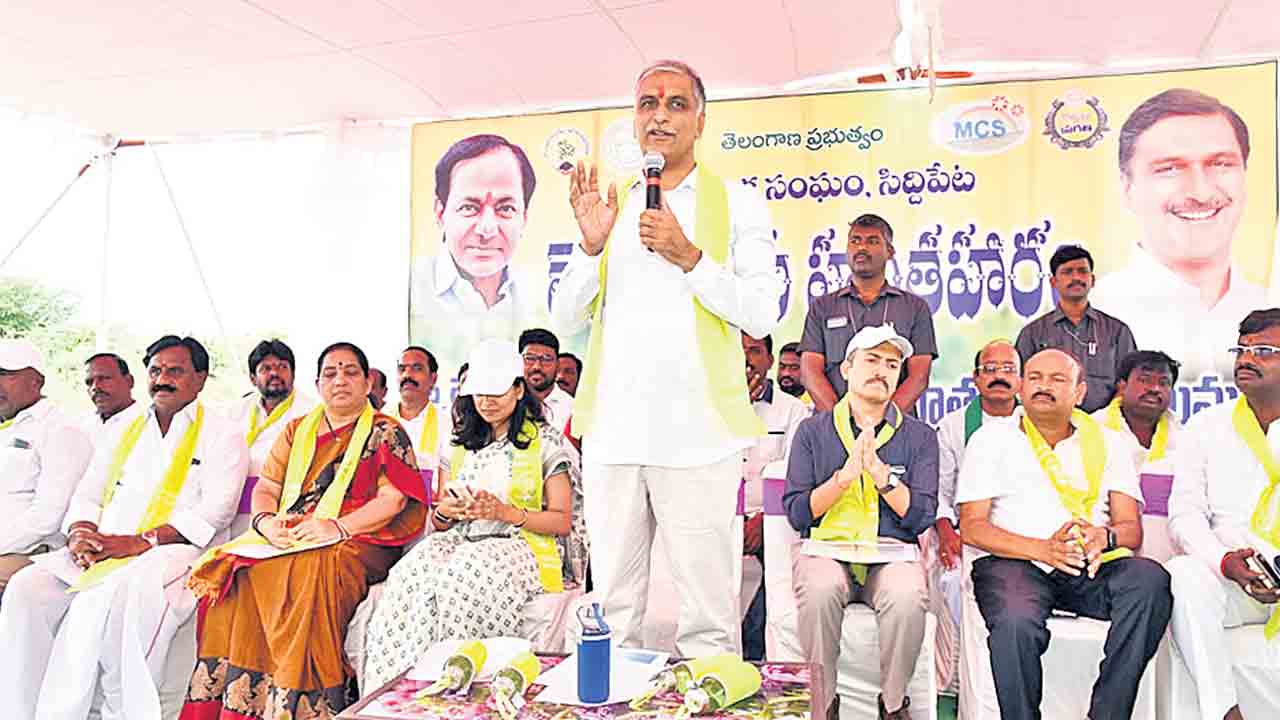 హరితహారంలో సిద్దిపేటకు రెండోస్థానం