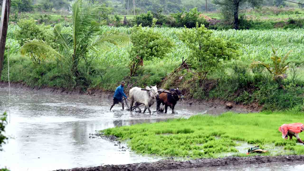 రైతన్నప్రై అబీమానం
