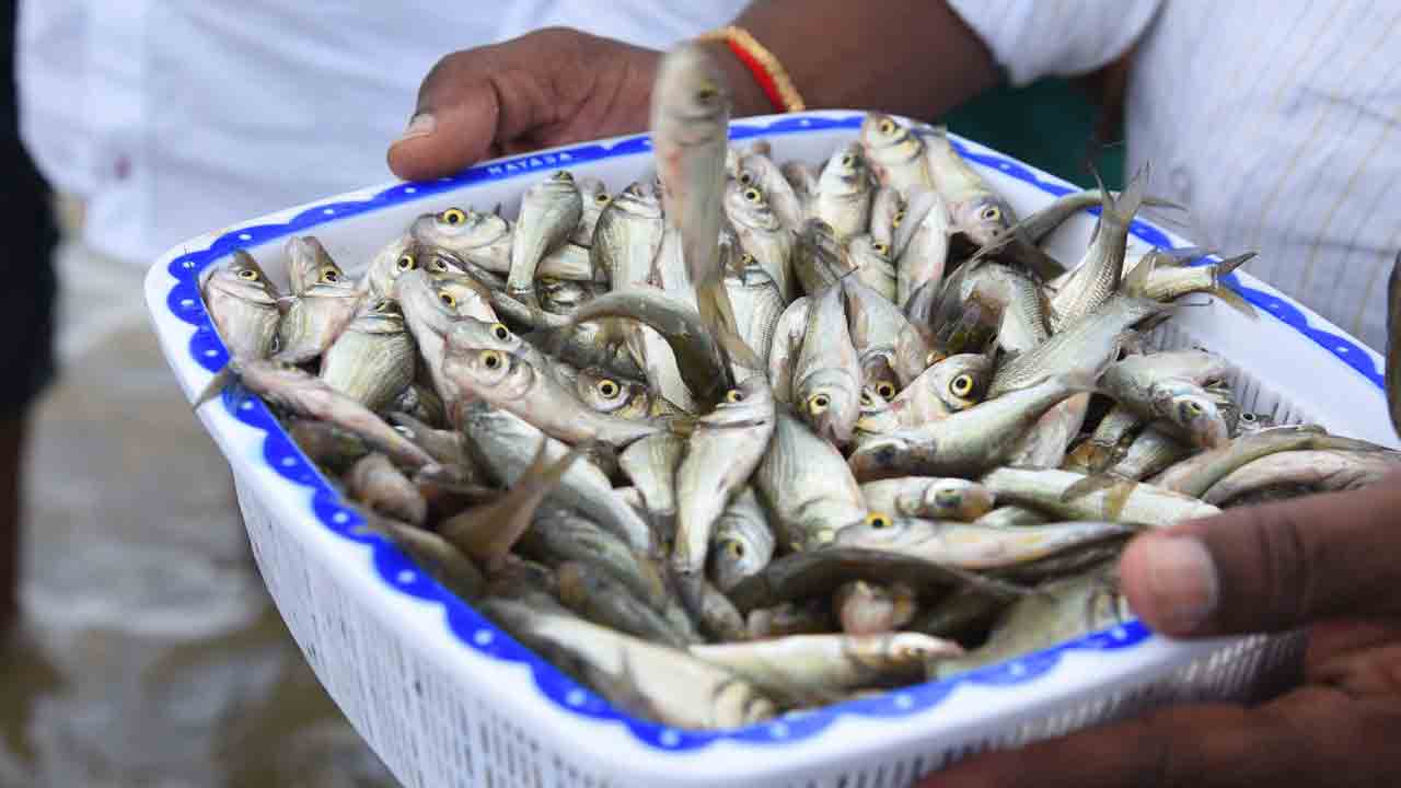 జలపుష్ప వికాసం