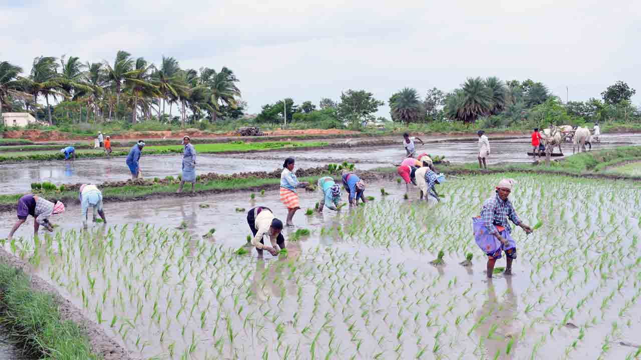 జోరుగా సాగుతూ..