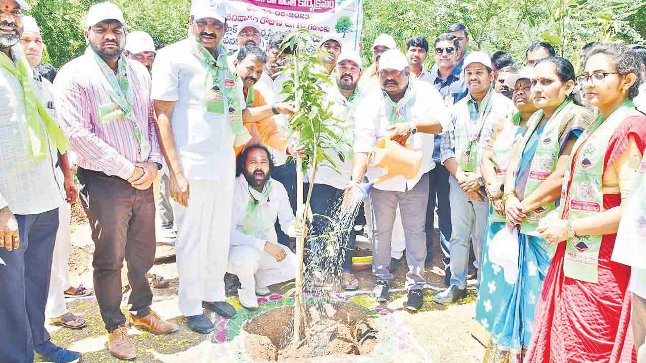 పండుగలా కోటి వృక్షార్చన