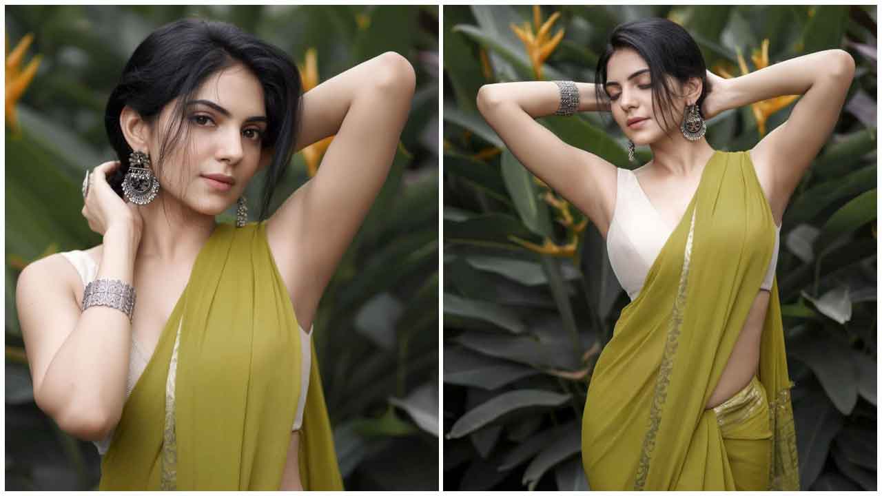 Misha Narang | చీరకట్టులో హొయలు పోయిన మిషా నారంగ్..