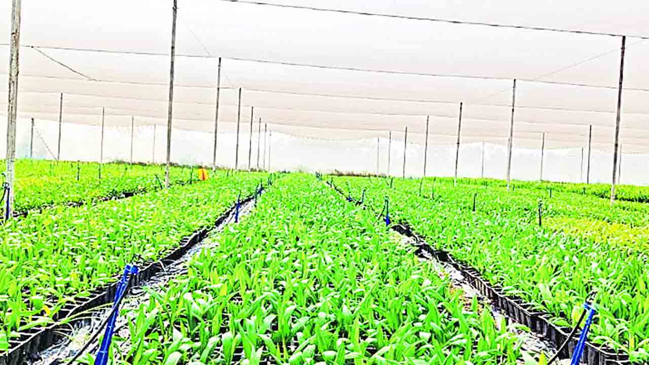 నాలుగేళ్లలో57వేల ఎకరాలు