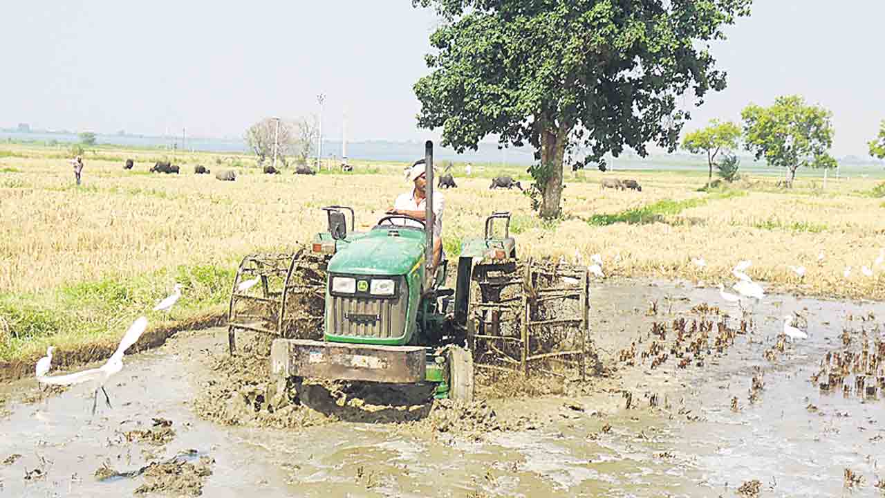 అన్నదాతకు అండగా.. కుటుంబానికి ధీమాగా..