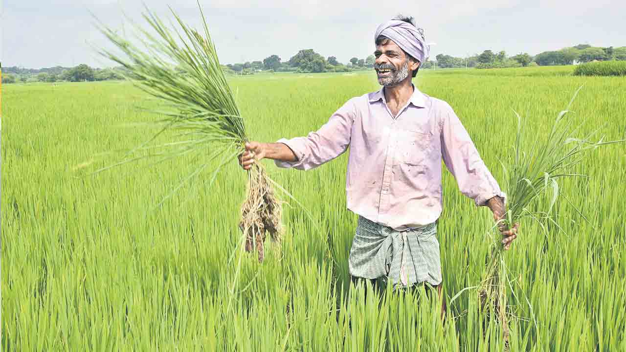 సంక్షేమ జోరు.. రైతే రాజు