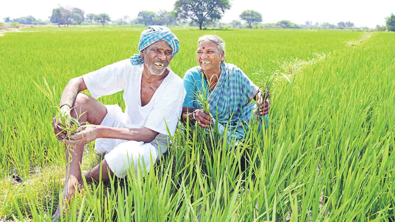 Rythu Bandhu | 11వ విడత రైతుబంధు సంపూర్ణం.. 68.99 లక్షల మంది అన్నదాతలకు అందిన పెట్టుబడి సాయం