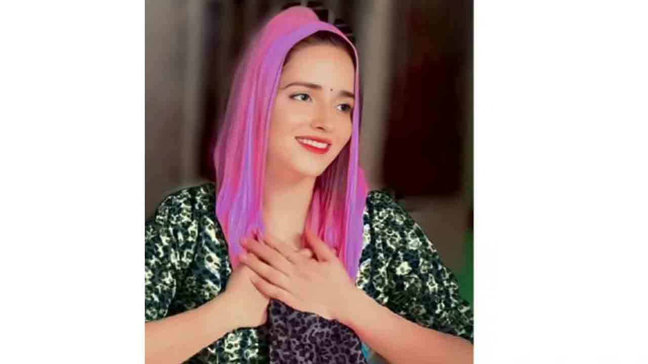 బాలీవుడ్‌ చిత్రంలో సీమా హైదర్‌!