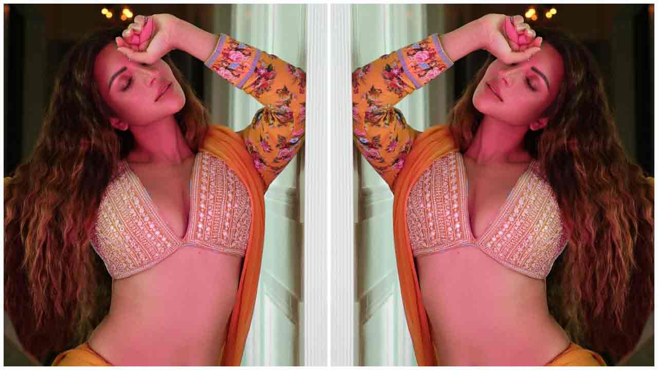 Shama Sikander | ఆరెంజ్ డ్రెస్‌లో హొయలు పోయిన షామా సికందర్..