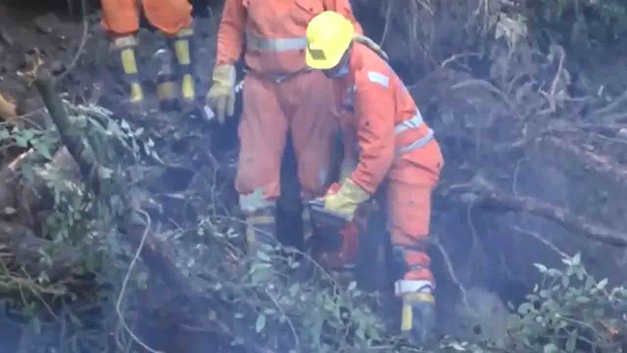 Shimla | హిమాచల్‌లో కుంభవృష్టి.. సమ్మర్‌ హిల్‌ ప్రాంతంలో మరోసారి విరిగిపడ్డ కొండచరియలు