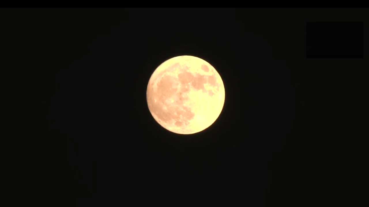 Super Blue Moon | ఆకాశంలో అరుదైన దృశ్యం.. దర్శనమిచ్చిన సూపర్ బ్లూ మూన్.. Video