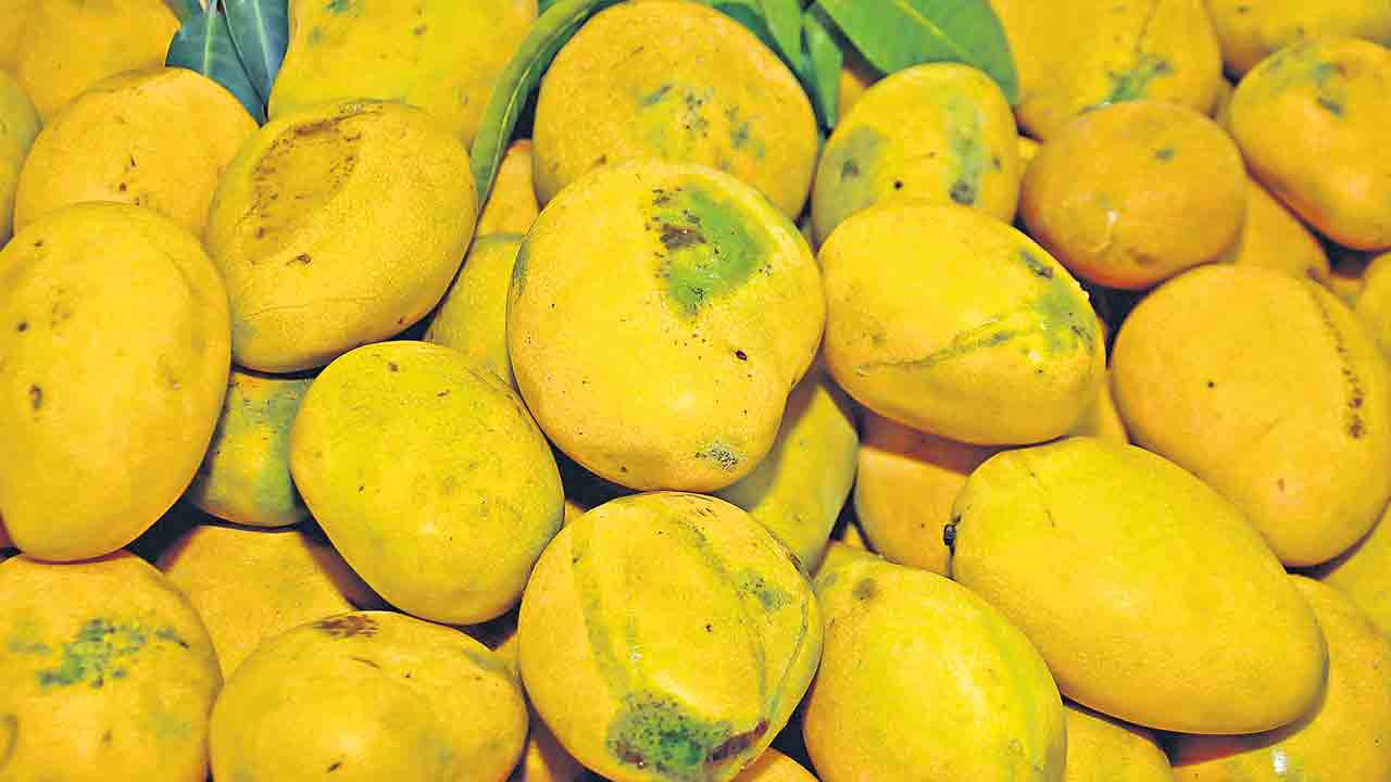 మామిడి ఉత్పత్తిలో టాప్‌-5లో తెలంగాణ