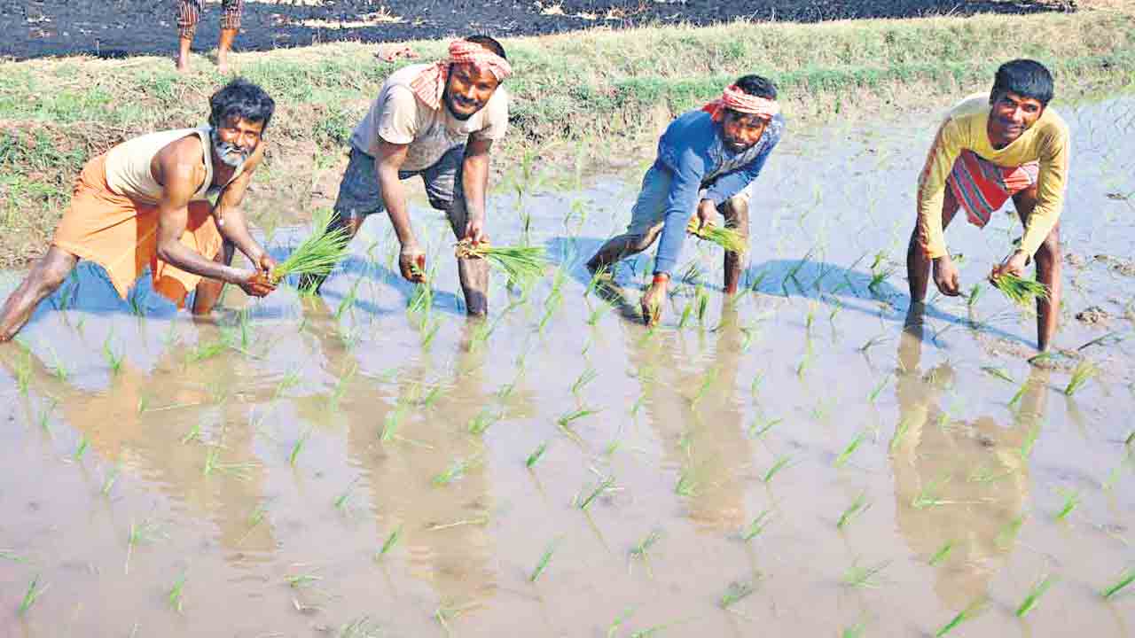 వలస జీవులకు జీవనధార
