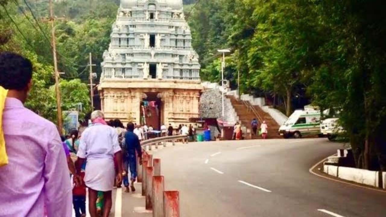 Tirumala | తిరుమల నడకదారుల్లో టీటీడీ ఆంక్షలు..! చిరుత దాడి ఘటన నేపథ్యంలో నిర్ణయం..!