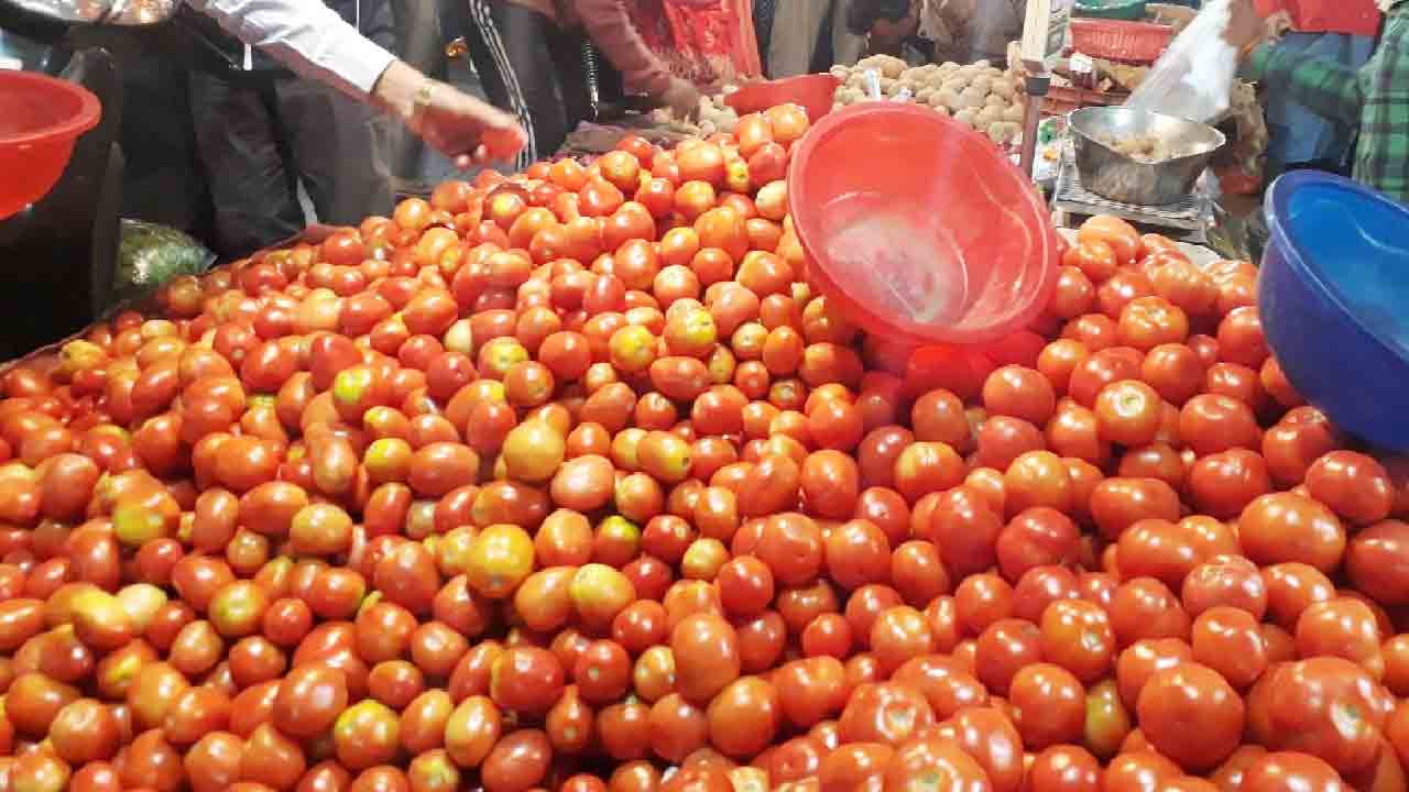 మదనపల్లెలో టమాట@50